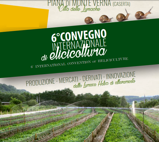 Convegno internazionale di elicicottura 2019 Piana di Monte Verna.png