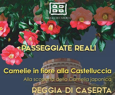 Passeggiate Reali Camelie in fiore alla Castelluccia Reggia di Caserta Domenica al Museo.jpg