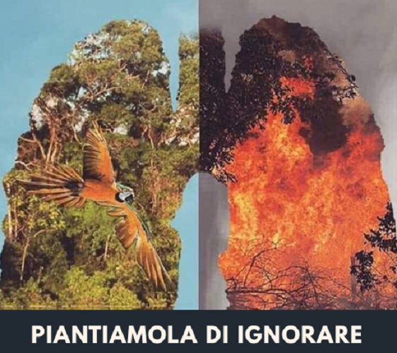 Piantiamola di ignorare 2019 Galluccio.png